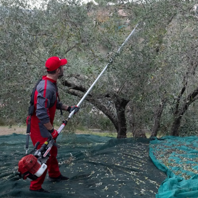 Cifarelli CS 605 Zeytin Hasat Makinesi — görsel 3