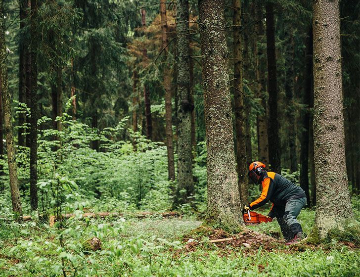 Echo CS-501 SX Motorlu Testere — görsel 3